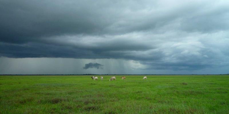 MCJZW视角：基于数字孪生的网络仿真与建模，如何重塑IT架构优化与预测性维护