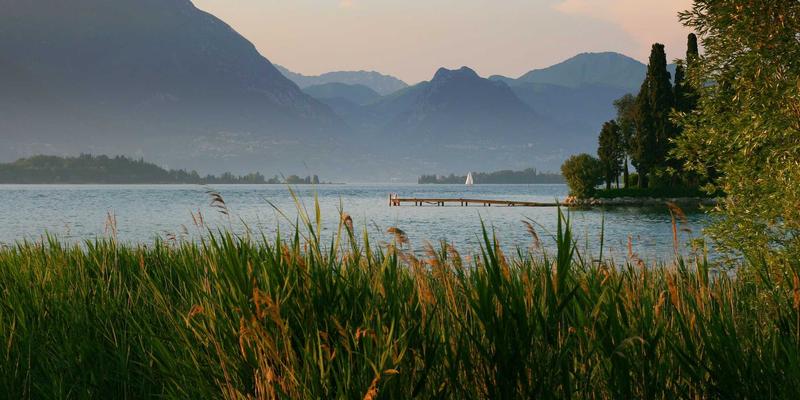 MCJZW：解锁现代编程教程的IT技术新维度