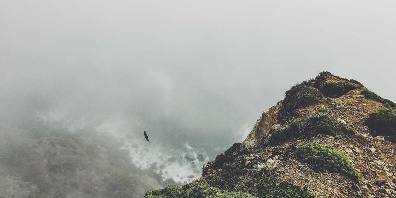 Wi-Fi 6E与Wi-Fi 7技术演进：软件开发视角下的企业无线网络升级路线规划