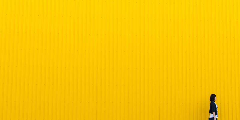 从软件开发到网络创新：NFV编排与管理的编程实战指南