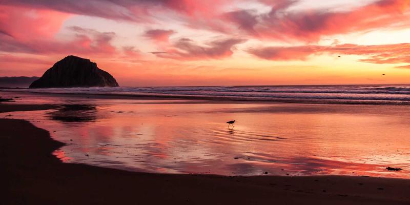 资源分享与MCJZW理念：驱动软件开发新纪元的双引擎